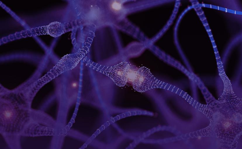 Creating a Single-Patient Record: A Guide for Healthcare Leaders