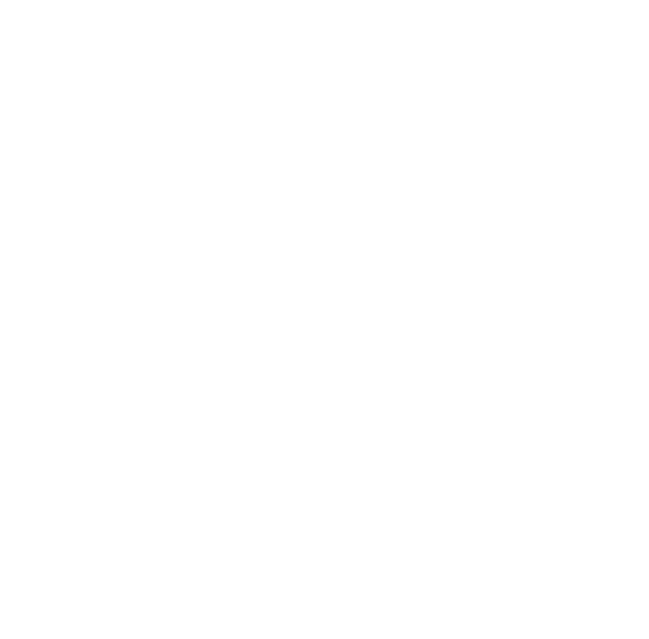 Our Global Partner Ecosystem